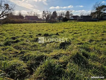 terrain 1211 m² gray