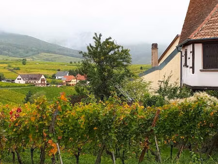 mur et fonds hotel restaurant