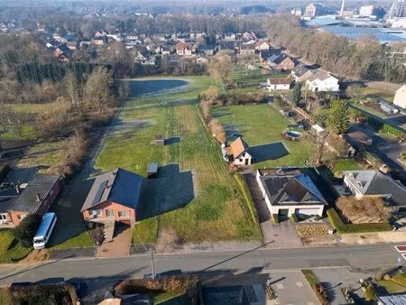 terrain à vendre à houthalen € 155.000 (l46s0) - immo top invest | zimmo