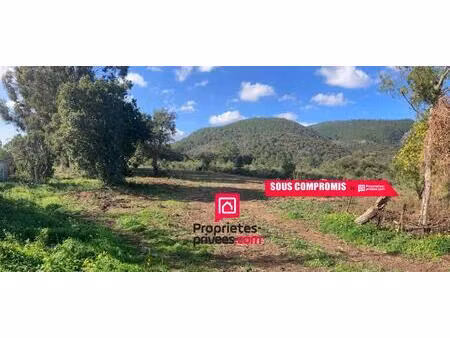 grand terrain plat avec maison à rénover - à proximité de porto-vecchio et lecci (20137) -