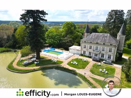 château à vendre à tournon-saint-pierre