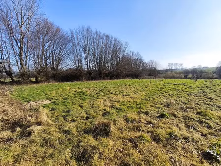 vente terrain 12000 m² hargnies (59138)