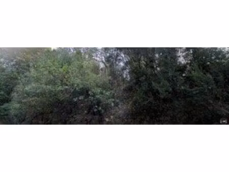 vente terrain 1955 m² menton (06500)