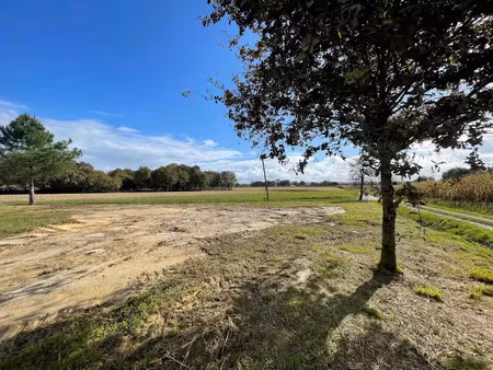 vente terrain 1249 m² à saint-sever (40500)  38 000 €