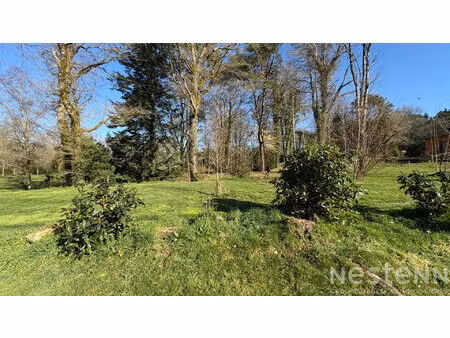 terrain pluvigner 870 m2
