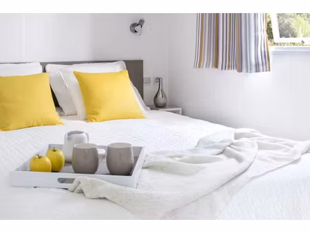 vente chalet 3/4 pièces 23 m² à rives (47210)  25 876 €