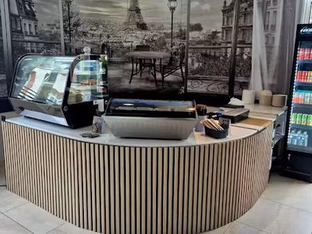 vente locaux professionnels 380 m² à châteauneuf-sur-loire (45110)  249 999 €