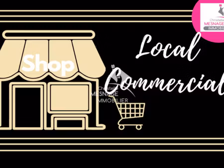 vente locaux professionnels 64 m² à dinan (22100)  45 000 €