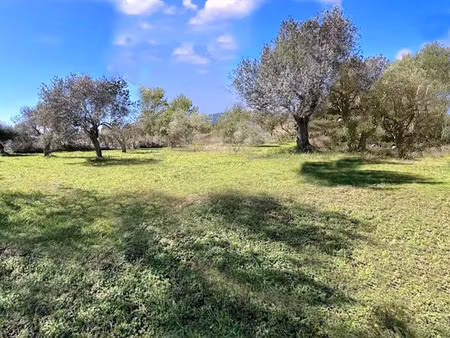 vente terrain à batir 2000 m² à montauroux (83440)  160 000 €