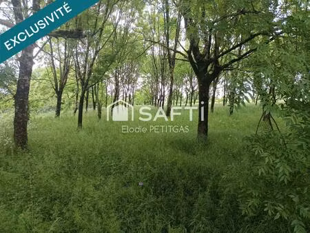 terrain constructible 7000m2