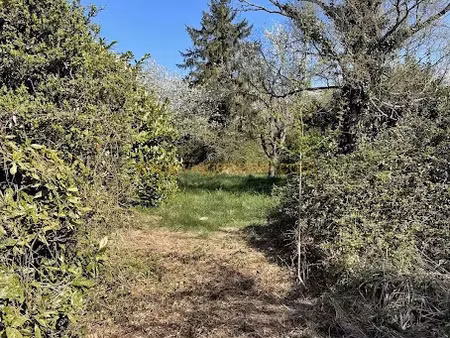 vente maison 3 pièces 93 m² à urciers (36160)  30 000 €