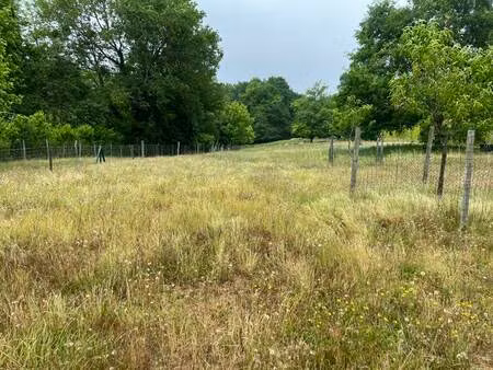 vente terrain 1243 m² roquefort (40120)