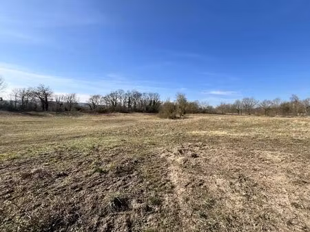 vente terrain 49300 m2 à bourg-et-comin