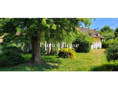 vente maison 10 pièces 320 m² à savigny-sur-clairis (89150)  394 000 €