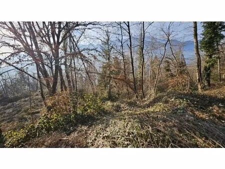 terrain boisé – forêt