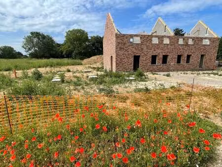 dernières opportunités – beaux terrains à bâtir !