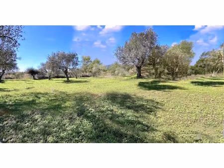 vente terrain à batir 2000 m² à frejus (83600)  160 000 €