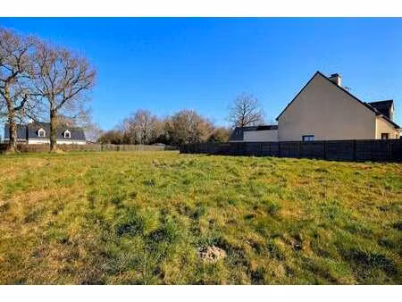 vente terrain à herbignac (44410) : à vendre / 549m² herbignac