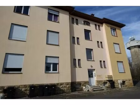 vente immeuble 300 m² bouzonville (57320)