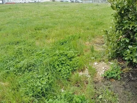 vente terrain 807 m2 à laboutarie