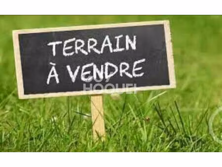 terrrain à bâtir secteur grand air/ forêt