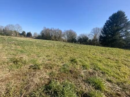 vente terrain à languidic (56440) : à vendre / 2163m² languidic