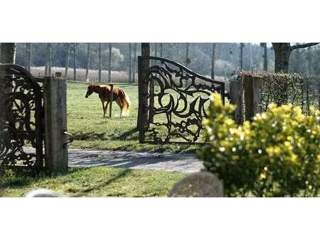 maison avec piscine et jardin combreux (45)