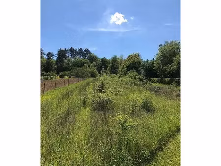 vente terrain 3010 m² à venoy (89290)  45 000 €