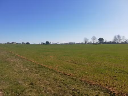 vente terrain 3990 m² pampelonne (81190)