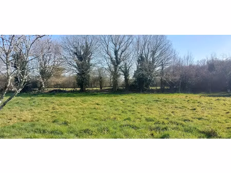 vente terrain 668 m² à ploeren (56880)  224 000 €