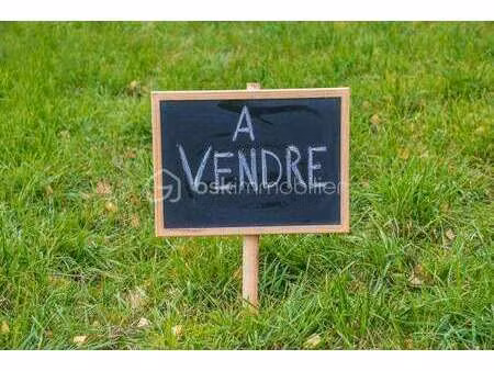 vente terrain à languidic (56440) : à vendre / 2163m² languidic