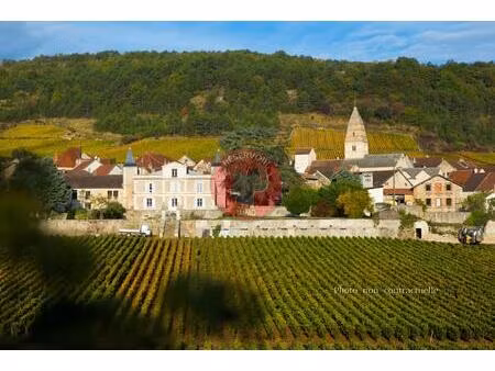 immeuble gevrey-chambertin (21220)