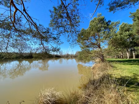 vente etang saint brisson sur loire  69 000€ loiret centre n°