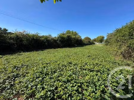 vente terrain à gouville-sur-mer (50560) : à vendre / 807m² gouville-sur-mer