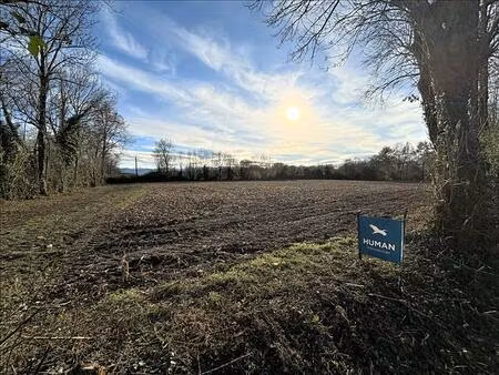 vente terrain 10646 m² soumoulou (64420)