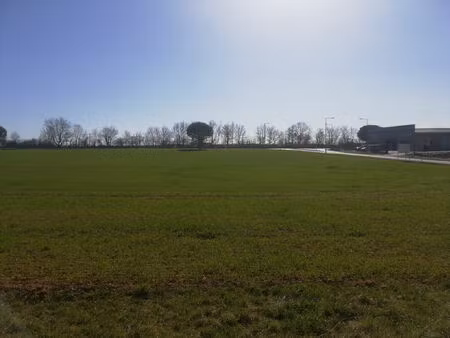 vente terrain 3860 m² pampelonne (81190)