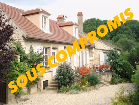 maison ancienne - 245 m2 - dépendances et gîtes - talcy