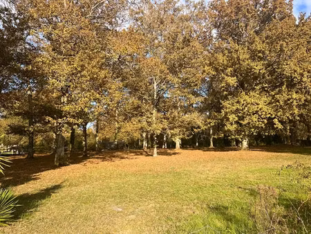 vente terrain 3600 m² à bazas (33430)  90 000 €