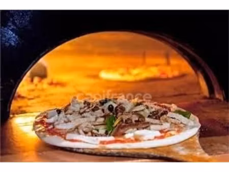 vente locaux professionnels 142 m² à luçon (85400)  112 000 €