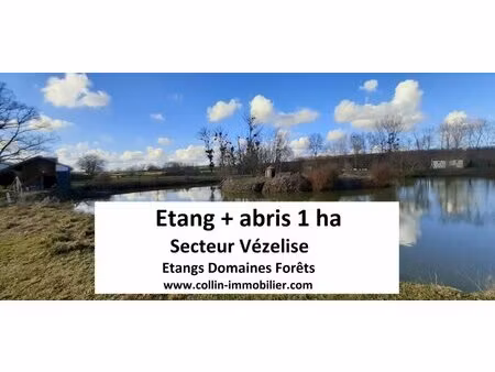 en vente terrain constructible 100 ares – 88 000 € |vézelise