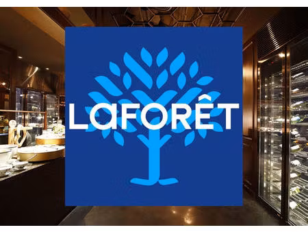 fonds de commerce anglet à vendre