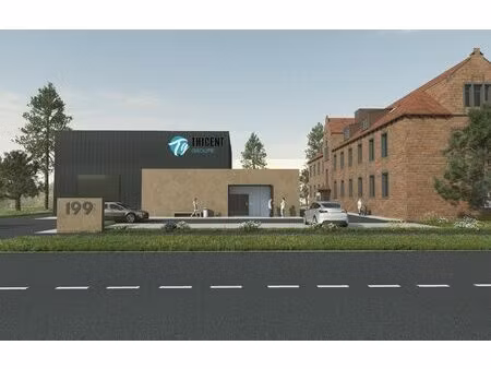 immobilier professionnel à vendre hoerdt