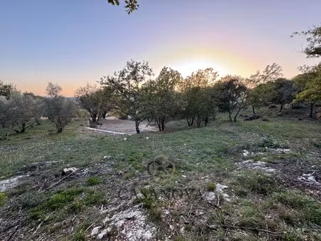 terrain constructible