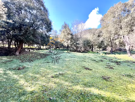 propriété - village de castifao