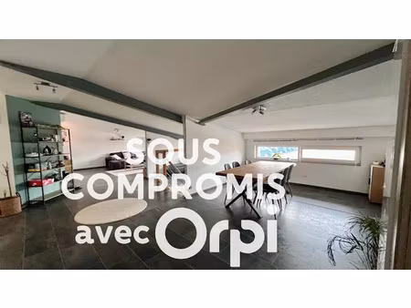 vente loft 5 pièces 134 m² à neuwiller-lès-saverne (67330)  230 000 €