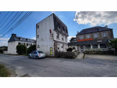 immeuble 414 m² - theix noyalo