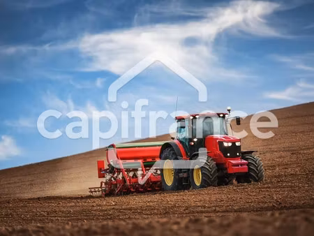 vente terrain 36910 m² à claira (66530)  85 000 €