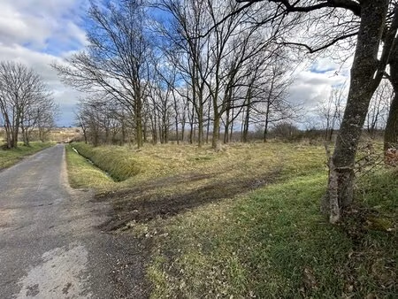 terrain boisé et de loisirs