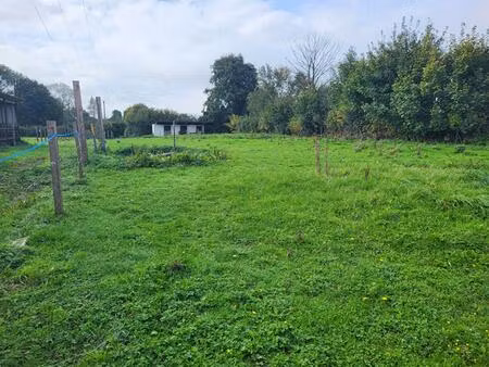 terrain fiefs 1355 m2