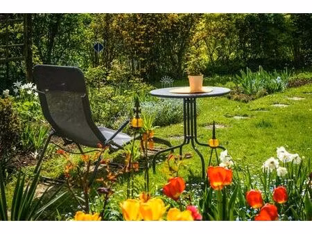 appartement de prestige en vente châtenay-malabry  île-de-france